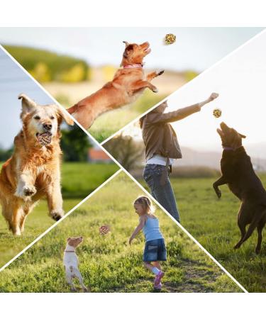 Vivifying Dog Rope Ball 2 Pack Braided Cotton Chew Balls for Dental Care & Play - Buy Online on GoSupps.com