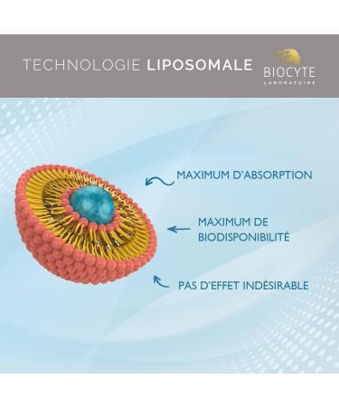 BIOCYTE Cal/Mag/Zinc Liposomal - Mineral Based Food Supplement - Calcium Magnesium and Zinc Liposomed - 60 Capsules - 30 Day Program - Buy Online on GoSupps.com