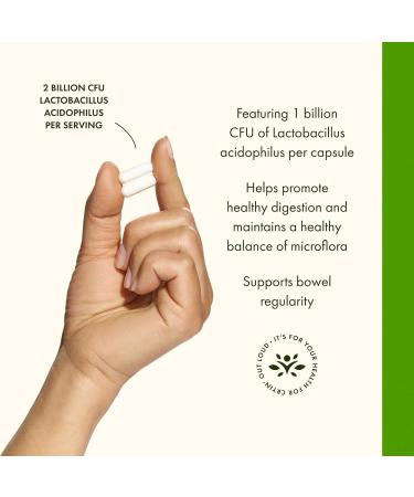 Swanson Lactobacillus Acidophilus - Probiotic Supplement Supporting Digestive Health with 1 Billion CFU Per Capsule - Promotes Bowel and GI Tract Health - (250 Capsules) 2 Pack - Buy Online on GoSupps.com