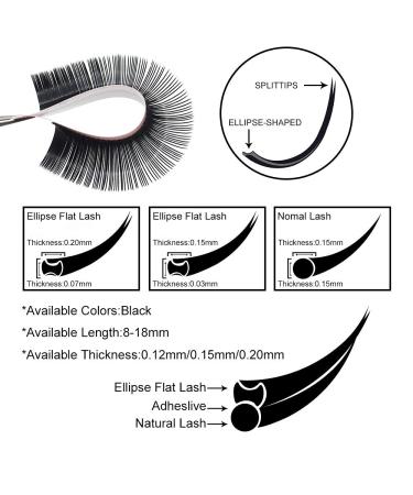 Flat Lashes QueWel | Ellipse Eyelashes for 1:1 Extensions | 0.15D Curl 15mm Silk Single Eyelashes - Naturally Black (1 Piece) - Buy Online on GoSupps.com