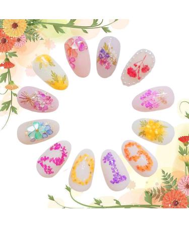 Kingmas 12 Colors Dried Flowers Nail Art Supplies - Mini Real Natural 3D Applique Decoration Sticker - Buy Online on GoSupps.com