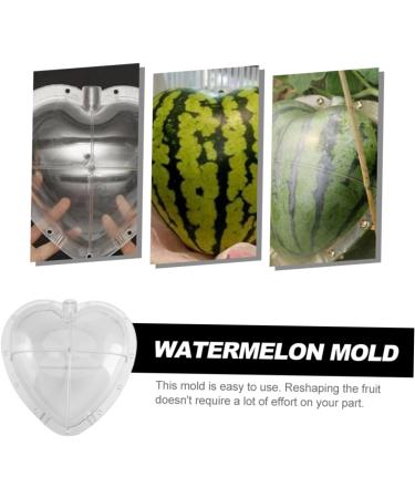 Hoement Fruit Shaping Molds Fruit Vegetables Square Tool Watermelon Shaping Grow Mold Cooking Utensils Strawberry Pumpkin 17x17cm Transparent - Buy Online on GoSupps.com
