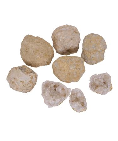 TRUSTTWO Unopened Natural Agate Geode Raw Quartz Mineral Energy Healing Crystal Rough Cluster Cave Gem Specimen Collection Bulk The New 1 PCS