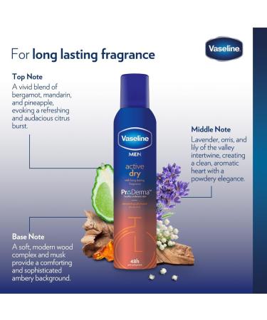  Vaseline Vaseline Men Active Dry 48h 250ml (paquet de 6) - Buy Online on GoSupps.com