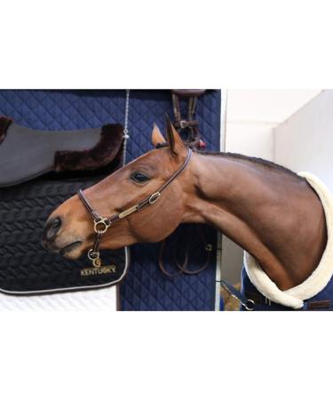 Kentucky Grooming Halter - Full WB Brown | Premium International Shipping - Buy Online on GoSupps.com
