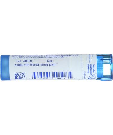 Buy BOIRON Kali Iodatum 6 C 80 CT - Homeopathic Remedy for Respiratory Health - Fast International Shipping - Buy Online on GoSupps.com