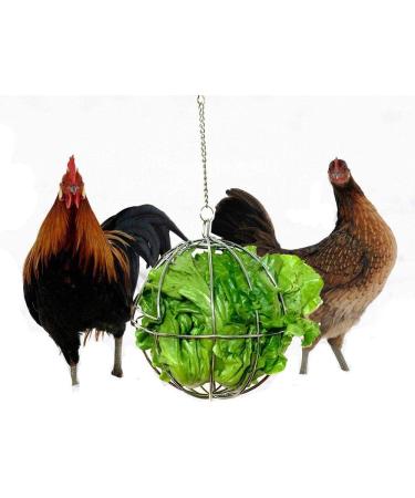 Fewao Stainless Rabbits Feeding Grass Ball Sphere Treat Hay Feeder Dispenser Hanging Ball Rabbit Chinchilla Guinea Pig Chicken Toys for Small Animals - Buy Online on GoSupps.com