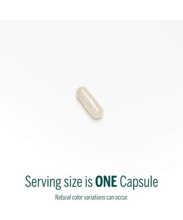 Genestra Orti C Vitamin C with Bioflavonoids & Elderberry Extract - 90 Capsules - Buy Online on GoSupps.com