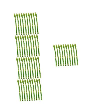 HOMSFOU 50 Pcs Simulated Asparagus Ornaments Fake Vegetables Asparagus Decor Fake Plastic Lifelike Vegetables Faux Asparagus Fern Plastic Vegetables Model Fake Food Model Sample Pvc Plant Light Greenx5pcs 19X0.9CMx5pcs