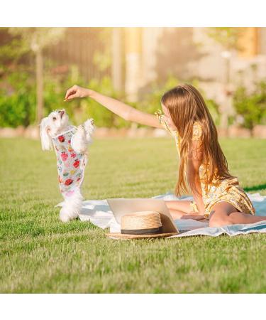 Cooling Dog Shirts for Small Dogs - 3 Pack Breathable Summer Vests for Chihuahuas Yorkies & Corgis - Buy Online on GoSupps.com