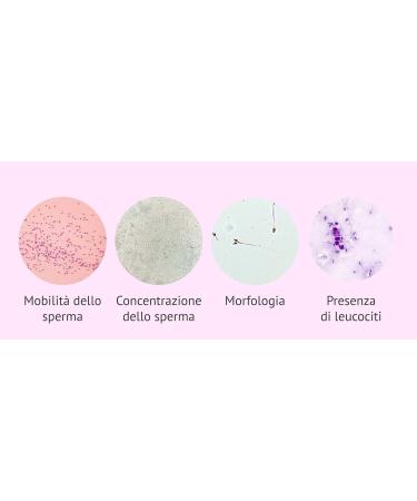 Male Sperm Fertility Test - Quick Results in 5-10 Min | 98% Accurate | 2 Tests | MedicinadellAvoro.com - Buy Online on GoSupps.com