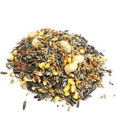 10 Litre Refill Bag Squirrel Mixture Premium Wild Life Food Garden Seed Feed (Weight 6kg/approx. 10L)