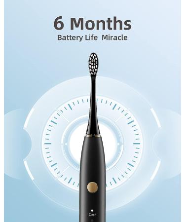 Bestday Electric Toothbrush Replacement Brush Heads - 4 Pieces, Black - Buy Online on GoSupps.com