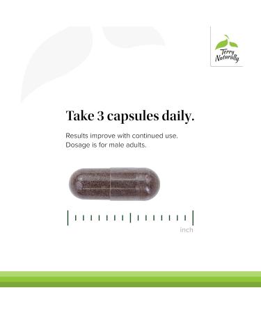 Terry Naturally Male Sexual Health - Dietary Supplement to Support Healthy Blood Flow & Circulation - Herbal Supplement with Korean Red Ginseng - Supplement for Men to Aid Healthy Energy - 48 Capsules - Buy Online on GoSupps.com