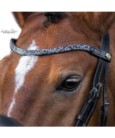 CALEVO - curved browband Twinkle black-purple rose Pony