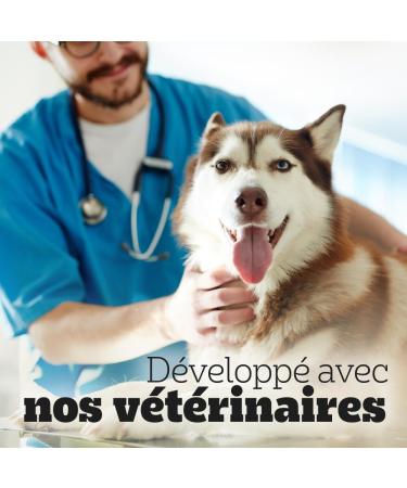 Pedigree Multivitamins Digestion Food Supplements for Dogs - Treats with Probiotics 36x180g Sachet Rewards That Help Maintain Good Digestion Easy to Eat - Buy Online on GoSupps.com