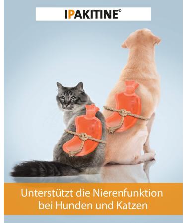 Vetoquinol Ipakitine 300g - Kidney Support Supplement for Cats & Dogs | Renal Failure Powder - Buy Online on GoSupps.com