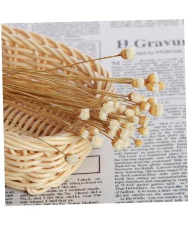 20 Rattan Diffuser Sticks for Essential Oils | Rose Replacement Refills for Home Bedroom Bathroom - Buy Online on GoSupps.com