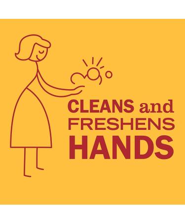 Mrs. MEYER'S CLEAN DAY Hand Soap Made with Essential Oils Clementine 12.5 Fl Oz (Pack of 8) - Buy Online on GoSupps.com