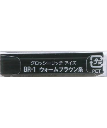 Visse Richer Glossy Rich Eyes BR-1 / Eye Shadow by Kose - Buy Online on GoSupps.com