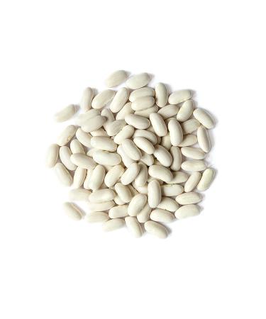 Organic Cannellini Beans 3lb - Non-GMO White Kidney Beans | Vegan & Kosher | High Fiber & Protein | Ideal for Soup, Salad & Chili - Buy Online on GoSupps.com