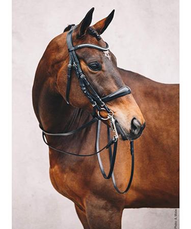 Schockem hle Sports Double Bridle - EQUITUS Gamma WB Black for Enhanced Performance | International Shipping Available - Buy Online on GoSupps.com