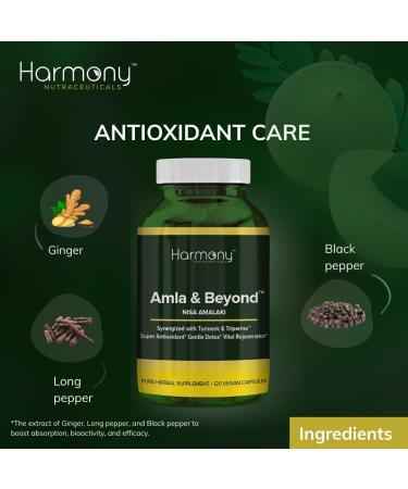Amla & Beyond (Nisa Amalaki) Dr. Gumman's Clinical Grade Highest Potency Maximum Bioavailability - Buy Online on GoSupps.com