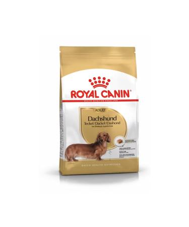 Royal Canin Teckel Adulte 500 GR