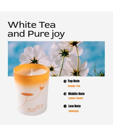 Scented Candle White Tea 150G - Floral Soy Wax Aroma Candle for Home Decor & Gifts | Perfect for Weddings Anniversaries Birthdays & Stress Relief - Buy Online on GoSupps.com