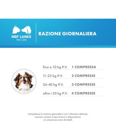 CAREVIT DOG MANGIME 100 COMPRESS - Buy Online on GoSupps.com