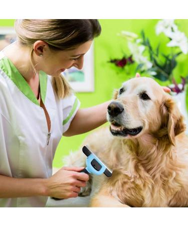 HANK Dog Deshedding Brush | Reduce Shedding up to 95% | For Small to Large Breeds | Pet Grooming Tool - Buy Online on GoSupps.com