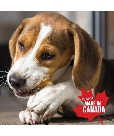 Bulk (1 kg / 2.2 lb) 100% Canadian Chicken Jerky Strips Dog Treats - Natural Ingredients (1kg / 2.2 LB) 100 g (Pack of 1) - Buy Online on GoSupps.com