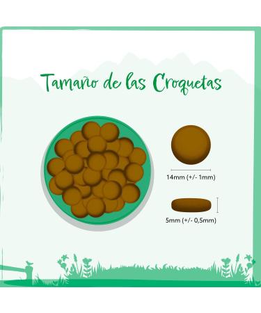 Wild Animal Premium Dry Dog Food Lamb with Sweet Potato and Mint Grain Free Pack of 1 (1 x 12 kg) - Buy Online on GoSupps.com