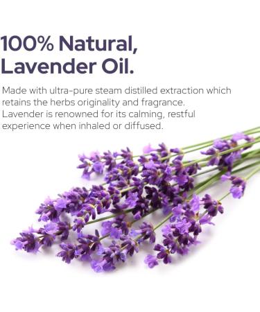 Plant of Life Essential Oil - 100% Pure and Natural - Therapeutic Grade Essential Oil with Dropper (Lavender 2 oz (60mL)) - Buy Online on GoSupps.com