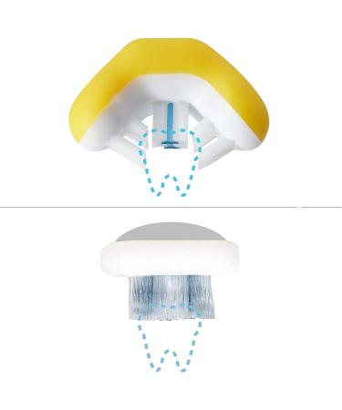 Frida Baby Training Toothbrush for Toddlers (18M+) - Buy Online on GoSupps.com