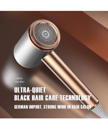 HJWNSD Double Negative ion Electric Hair Dryer High-end Hair dryers High-end Home Hotel Barbershop Student Dedicated Hair Dryer (Gold) - Buy Online on GoSupps.com