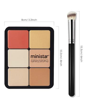 12 Colors Cream Makeup Palette for Cheeks - Blush Contour Concealer & Highlighter - Waterproof & Long-Lasting with Brush - Multi-functional Face Palette (Set #05 - Buy Online on GoSupps.com