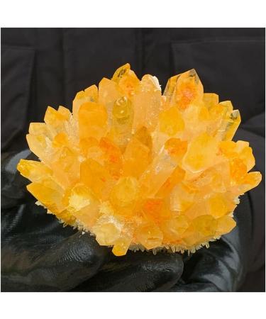 Phantom Quartz Crystal Cluster Specimen (Size : 500-550g) - Buy Online on GoSupps.com