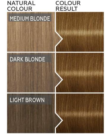 Schwarzkopf Color Expert Dark Blonde Hair Dye | Permanent & Up to 100% Grey Coverage with Omegaplex | 7-0 Dark Blonde | 1 Count - Buy Online on GoSupps.com