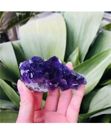 Natural Dream Amethyst Quartz Cluster SpecimenCan be Used for (Color : 70-80g Size : 1pc) HOMEZHOU (Color : 70-80g Size : 3pc) 3pc 70-80g - Buy Online on GoSupps.com