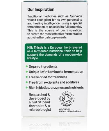 Organic Fermented Milk Thistle Supplement (60 Caps) - Natural Liver Support - Buy Online on GoSupps.com