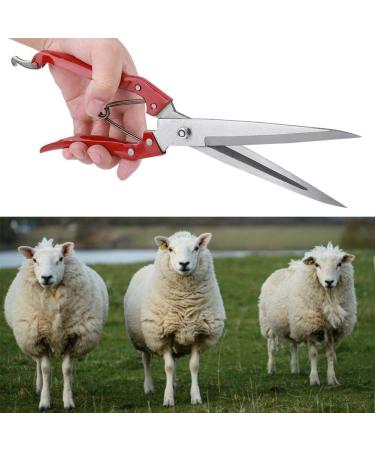 Multifunctional Stainless Steel Sheep Shears & Garden Scissors - 30cm Needle-Nose Plant Rose Vineyards & Florist Scissors - Buy Online on GoSupps.com