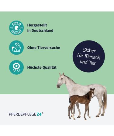 Buy Horse Care24 Nabber Protection Spray 1000ml - Effective Bite & Nibbling Deterrent for Horses - Anti-Chew Solution for Manes Fur and More - Buy Online on GoSupps.com