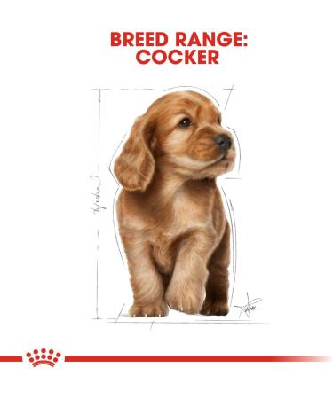 Royal Canin Dog Food Cocker Puppy Complete 3KG - Buy Online on GoSupps.com