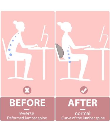 Refresh 2 in 1 Neck and Back Stretcher - Back Extensor Device for Neck Pain Relief & Back Pain Relief - Gray - Buy Online on GoSupps.com