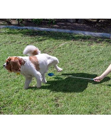 PawCheck P-Scoop Dog Urine Collector - Telescopic Urine Catcher | Extends to 29 - Buy Online on GoSupps.com
