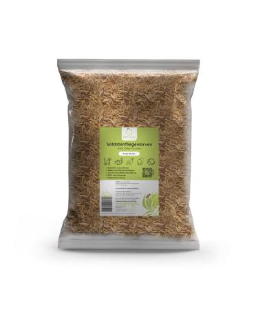 Soldier fly larvae 5kg (32 liters) food for birds fish rodents reptiles hedgehogs like mealworms