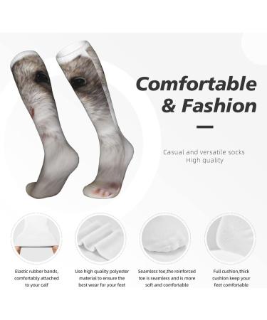 Premium Hamster Compression Socks for Men & Women - 15-20 mmHg Support for Running & Cycling - Buy Online on GoSupps.com