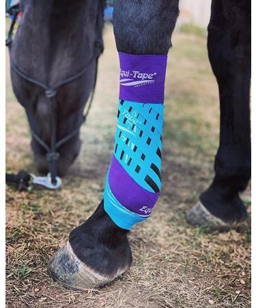Equi-Tape Advantage 3 Light Blue Tape for Horse & Pony - Muscle Pain Relief, Joint Stability | Safe, Lightweight, Waterproof Tape with Grade Adhesive - Buy Online on GoSupps.com