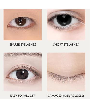 Magnetic Eyelashes with Applicator Reusable Strip Lashes Magnetic Eyelashes Natural Look Magnetic Eyelashes without Eyeliner No Glue or Eyeliner Needed Magnetic Eyelashes Easy to Use - Buy Online on GoSupps.com